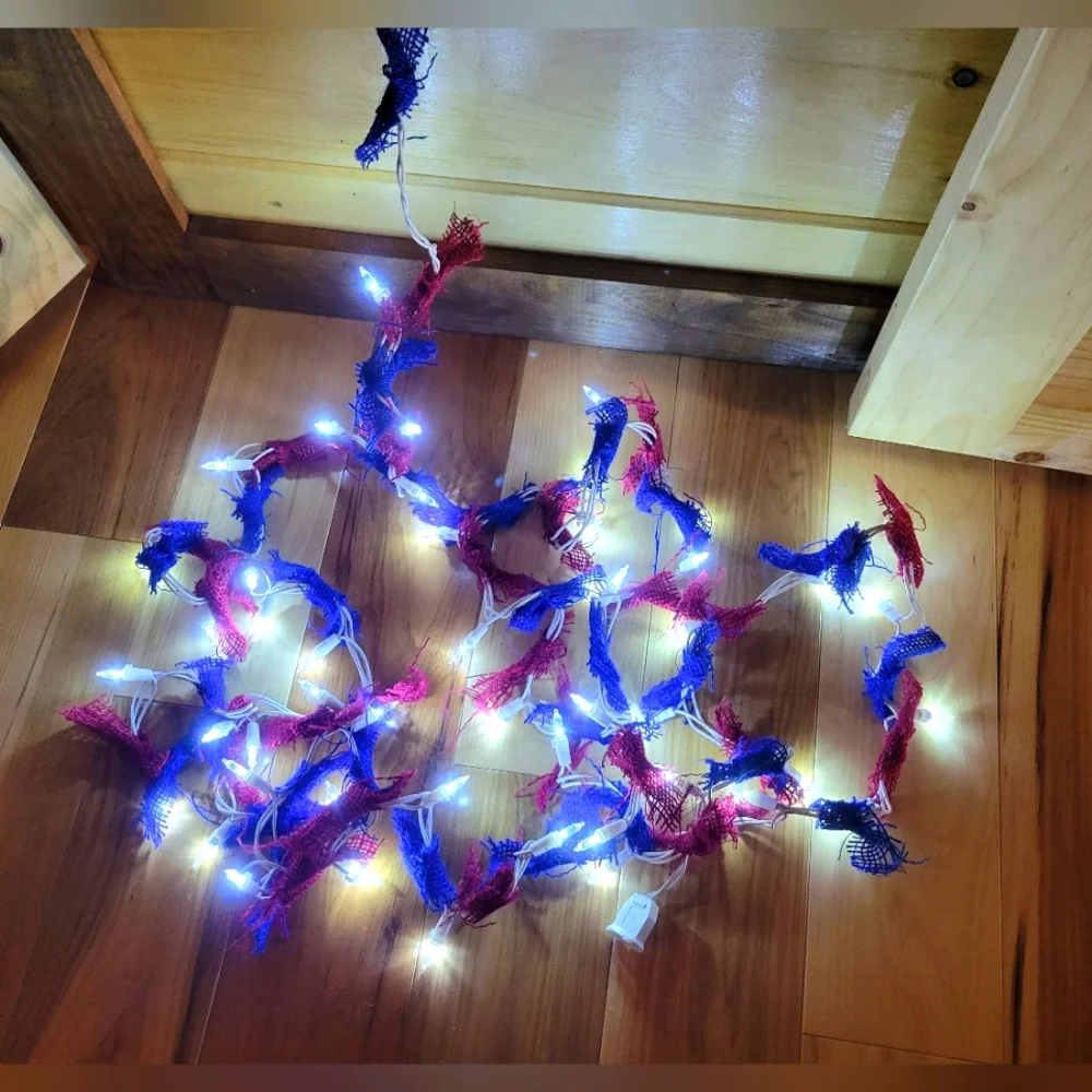 Plug in lights with red and blue garland